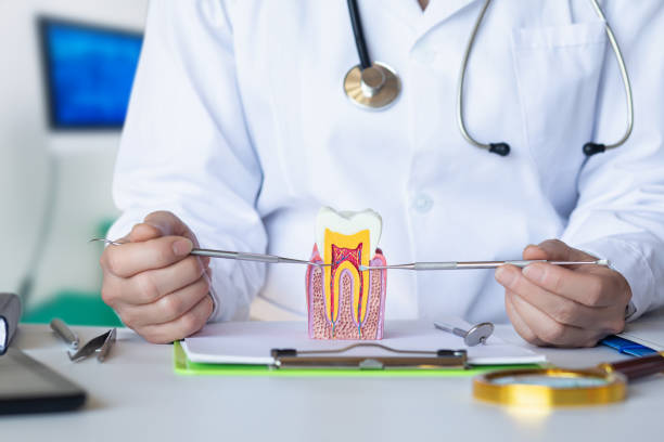 Best Emergency Dentist for Special Needs Patients in O, MI